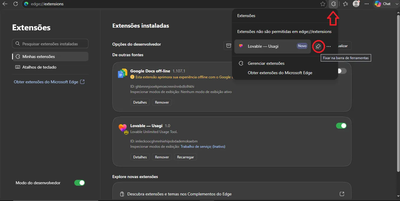 Passo 07: Fixe a extensão na barra